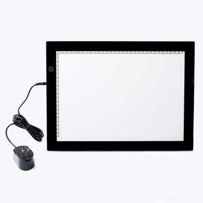 China Acrylic First Qualified Education Led Discovery Light Protection for sale