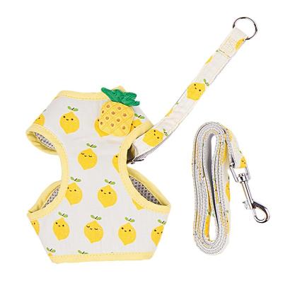 China Sustainable adjustable cat rope with fruit print to prevent slippage for sale