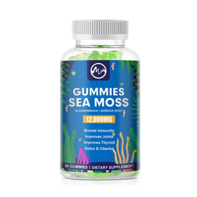 Китай Private Label Vegan Sea Moss Gummies For Immune System 30 Counts Seamoss And Bladderwrack Gummies Gummi Vitamin продается