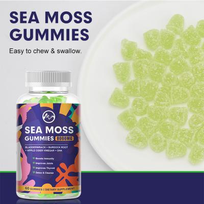 China Private Label 60pcs Organic Irish Sea Moss Vegan Gummies Bladderwrack Burdock Root And Natural Fruit Pectin Sea Moss Gummies Te koop