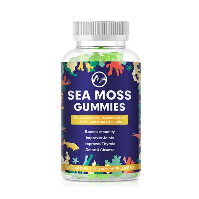 China Organic Vegan Superfood Wildcrafted Seamoss Gummy Vitamins for Keto Detox Immune Thyroid Support Sea Moss Gummies for sale