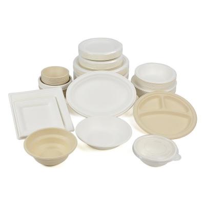 China Disposable eco-friendly sugarcen 100% biodegradable eco friendly pulp food containers pla food grade dish divider snack lunch divided tray for sale