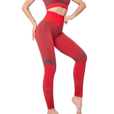 China Wholesale Antibacterial Seamless Women Red Seamless Pants Yoga Gym Gaiters for sale