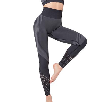 China Antibacterial Seamless Leggings Exercise Tights Women High Waisted Workout Yoga Gaiters For Women for sale