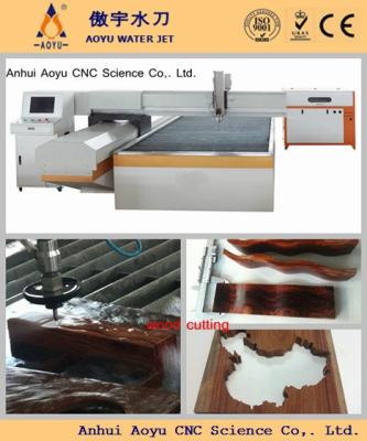 China Cortadora Waterjet del acero inoxidable en venta