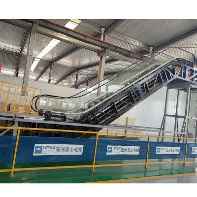 China Customized Travelator Escalator Price Elevator For Sale for sale