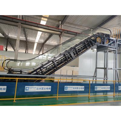 China Customized VVF Travelator Escalator Price Cheap Elevator For Sale for sale