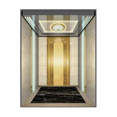 China Small Modern Guided Stainless Capsule Lift Elevator Lift for sale