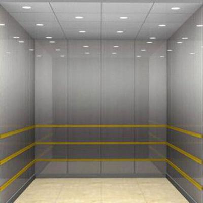 China Modern Customizable Hydraulic Elevator Freight Elevator Cargo Lift for sale