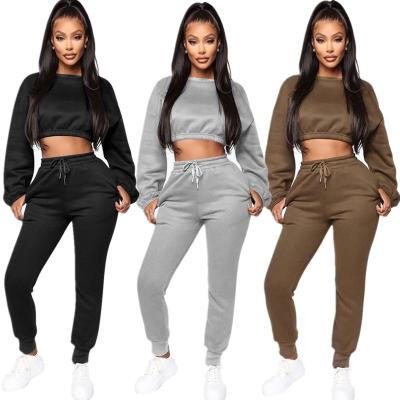 China Sale Breathable Long And Fleece Two Piece Sweatpants Full Sleeve Hooded Sweatshirt Line Sets Crop Top Pants Tracksuit For Women for sale