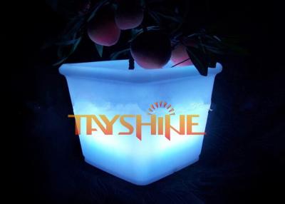 Chine Le polyéthylène imperméable a illuminé le seau à glace pour la barre/boîte de nuit/KTV à vendre