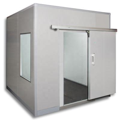 China Advanced Commercial Foods/Dairy/Meat Ice Flake Making Walk-In Freezer For Sale Lemon Cooling Cold Room for sale