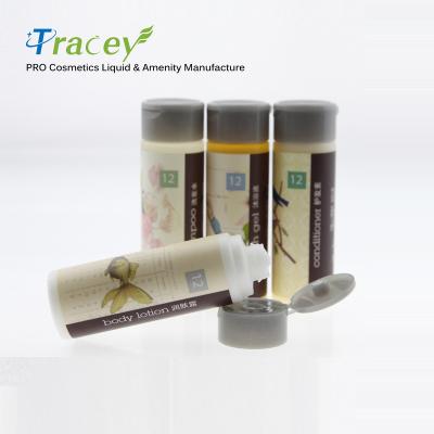 China Custom Hotel Supplies Mini Hotel Soap And Shampoo Disposable OEM-Hotel Shampoo for sale