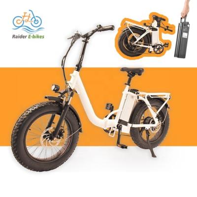 China Electric Folding Bike RaiderExpand-45F 48V Cheap 750W 20