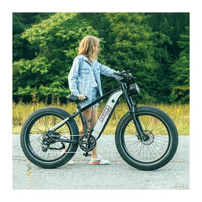 China RaiderRover-35F Full Suspension Aluminum Alloy RaiderRover-35F Mountain Bike Electric Snow Bike Electric Hybrid Bike for sale