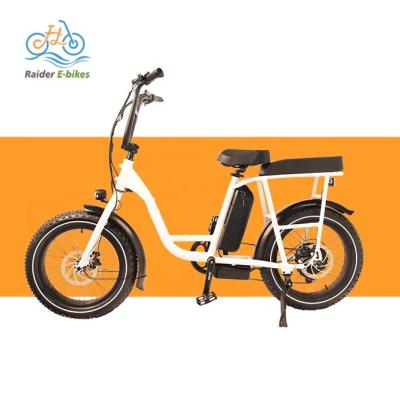 China Electric cargo bike RaiderRunner-32F fat tire beach ebike boy 20