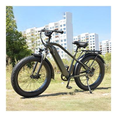 China Big Power Aluminum Alloy RaiderRover-31F 26*4.0 Tire Electric Mountain Ebike Hybrid Electric Bicycle Electric Fat Bike For Adults for sale