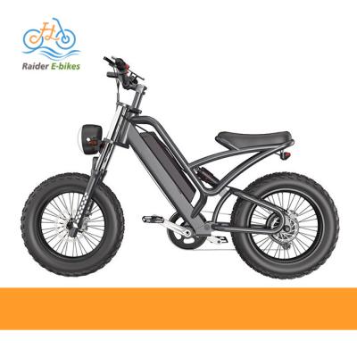 China Long Range 20 Inch 48v750W Aluminum Alloy RaiderRover-238 Fat Tire Waterproof Electric Dirt Mountain Road Bike Hybrid Electric Bike for sale