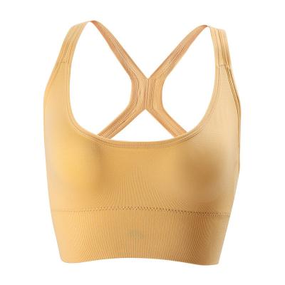 China Custom Logo Crane Exercise Workout Bra Women Fitness Design Ladies Girls Gym Cross Sport Breathable Perfect Running Women Bra for sale