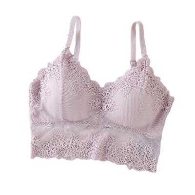 China High Quality One-Piece Women's Seamless Sexy Lace Lingerie Women's Seamless Top Underwear Padded Floral Bralette Bandage Bra Vest Bustier for sale