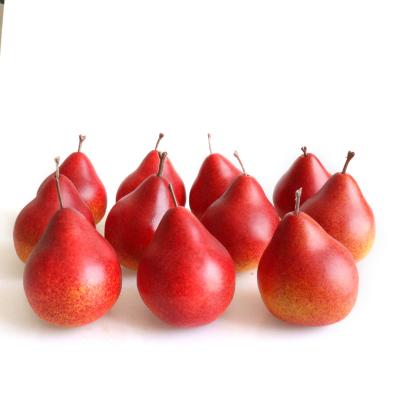 China Most Popular Realistic Simulation Fake Fruit Ornaments Artificial Red Pears For Photography Props Table Stop Model Decoration W5.2XL7cm Roughly Or Customized for sale