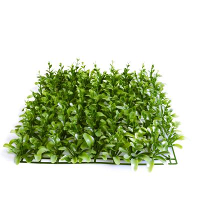 China Free Sample PE Wall Flooring Background PE Artificial Garden Boxwood Panels Mats For Garden Decoration for sale