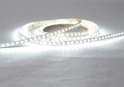 Cina La CC 12V raffredda le lampade fluorescenti flessibili bianche 6000K del LED con un angolo d'apertura da 120 gradi in vendita