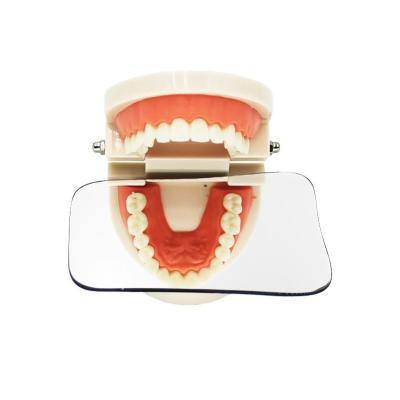 China Teaching Aids/High Quality Periodontal Model Standard Dental Tooth Model Doctor-patient Communication/Pathology Display Hot Sale for sale