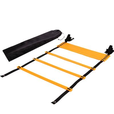 China Carry Easily Wholesale Adjustable Ladder with Carry Bag Training Speed ​​Agility Black Ladder for sale