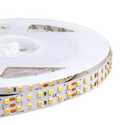 China Bluevision Commercial TDC 240 LED 3528 Adjustable Color Changing Led Strip Lights For Decorative Projects for sale