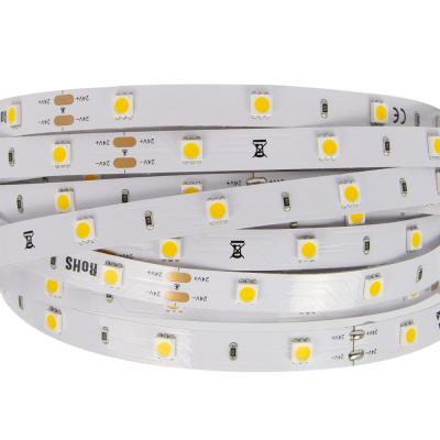 China commercial 30led 10mm 8.6w 24v 5050 led strip ip66 nano waterproof led strip for different lighting projects for sale