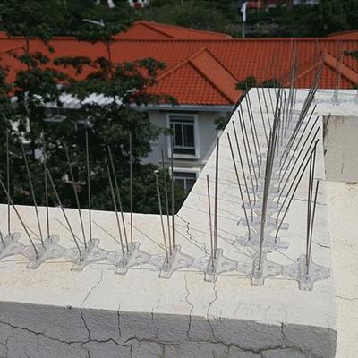 China Fence Mesh Eco Friendly Anti Roosting Spoil Resistant Anti Bird Spikes Pigeon Spike Bird Control for sale