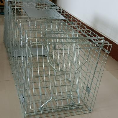 China Viable Metal Mouse Trap Cage Humane Live Trap Pest Rodent Rat Mice Control Cage Bait for sale