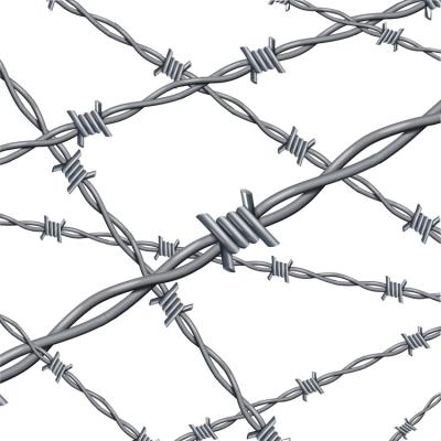 China For community barbed wire Zimbabwe/tribal barbed wire /barb wire repair price for sale