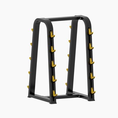 China Commercial Barbell Fitness Rack Gym Position Rack Dumbbell Set Rack for sale