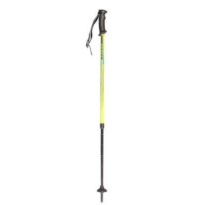 China Wholesale Custom Adjustable Aluminum Carbon Plastic Ski Pole Be Selling Well Alpine for sale