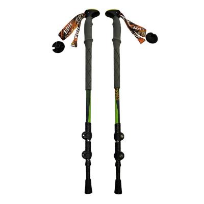 China Trekking Trail Pole Lightweight Hot Selling Shockproof Hiking Flexible Walking Stick for sale