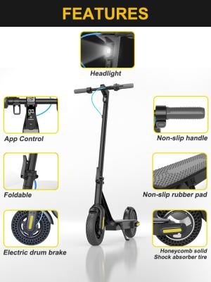 China 10inch 350W Big Battery Unisex Powerful Motorcycle Scooter 36V APP Electric Scooter for sale