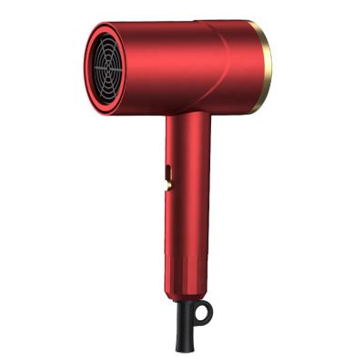 China 1200w Household Air Hair Dryer Appliances Anion Hair Dryer Professinal Portable Ionic Heating and Cooling Care Quick Dry for sale