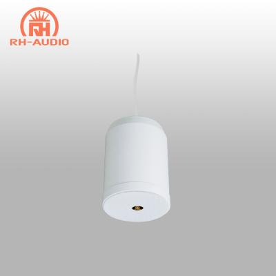 China RH-AUDIO 100V Mini PA System Hanging Speaker RH-CL08 for sale