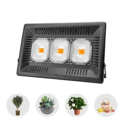 China MINGBEN Seed Growing Greenhouse Ip65 100w Plant Led Grow Light Fixture Hydroponic Led Grow Light Full Spectrum for sale