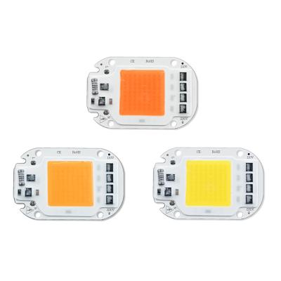 China High Beightness LED COB Light Bulb 220V 50W LED Outdoor Chip LED For Square Garden Garage Park Lighting for sale