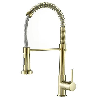 China Pull Out Spray Chrome Gold Luxury Brass Kitchen Faucet With Spray Pull Out Kitchen Sink Faucet Mixer Torneira Griferia De Cocina for sale