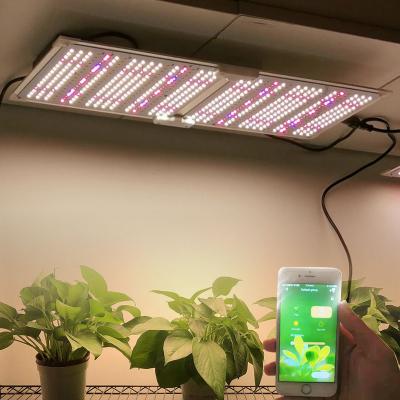 China High PPFD SY2000 Daisy Chain Meanwell ELG + Samsung lm301h lm301b Mix 660nm ELG240 Greenhouse SF2000 240W LED with Dimmer and Hook for sale