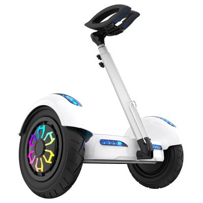 China 2021 New Cool And Portable For Adults And Kids Balance Scooter Hoverboards 250*550*600MM for sale