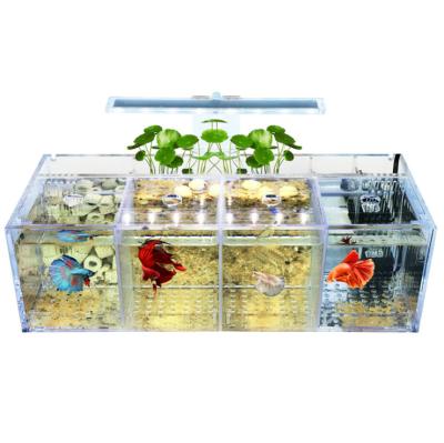 China Viable Hot Selling High Quality Transparent Acrylic LED Aquarium Fish Tanks Integrated Filtration With Factory Price for sale