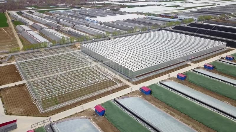 確認済みの中国サプライヤー - Qingzhou Xinhe Greenhouse Horticulture Co., Ltd.