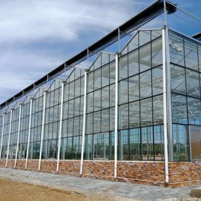 中国 Tunnel PE Plastic Film industrial greenhouse Hydroponic Systems, Agricultural Greenhouse with heating system 販売のため