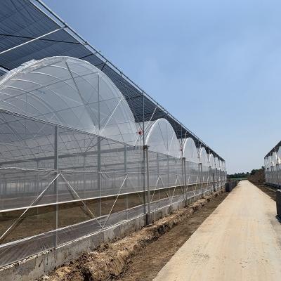 中国 Reinforced plastic film greenhouse for tomato and flower growth,used greenhouse frames for sale 販売のため