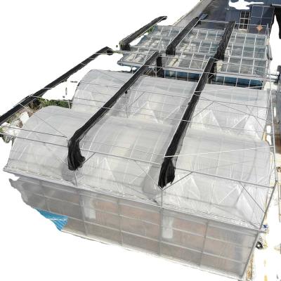 China 200 micron uv resistant plastic film agricultural greenhouse with hydroponic system for sale